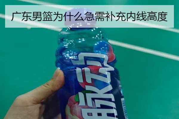 广东男篮为什么急需补充内线高度