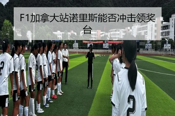 F1加拿大站诺里斯能否冲击领奖台